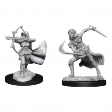 D&D Nolzurs Marvelous Miniatures Miniaturas sin pintar Air Genasi Female