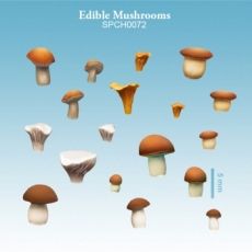 Edible Mushrooms