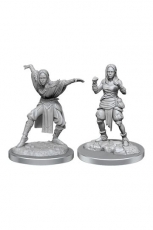 Pathfinder Battles Deep Cuts Pack de 2 Miniaturas sin pintar Half-Elf Monk Female